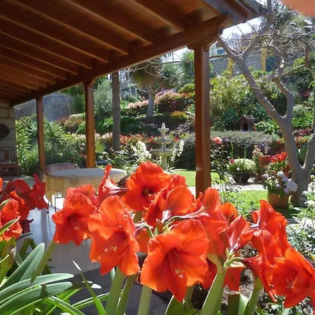 Finca Casa Vieja アパート *