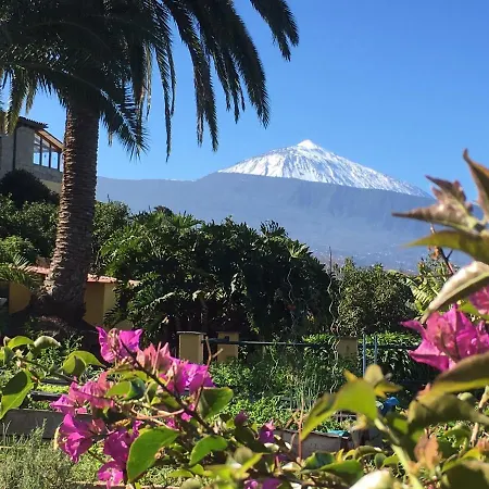 Finca Casa Vieja *